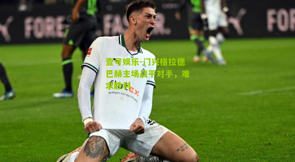 门兴格拉德巴赫主场战平对手，难求胜利