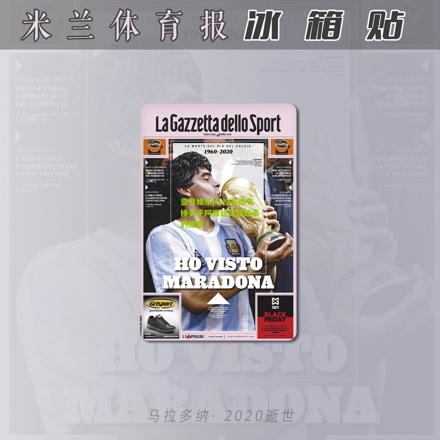 马拉多纳支持关于阿根廷足球改革的提案