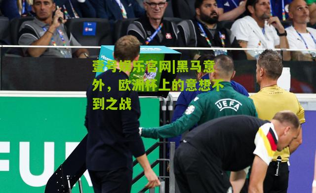 黑马意外，欧洲杯上的意想不到之战
